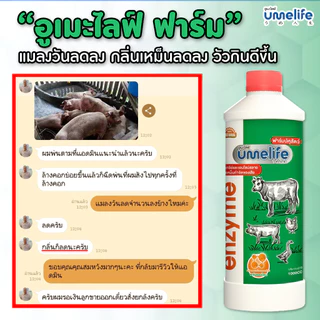อูเมะไลฟ์ ปศุสัตว์ 1000cc จุลินทรีย์คอกสัตว์ น้ำยาดับกลิ่นเหม็นสัตว์ ลดแมลงวันในคอกสัตว์ คอกวัว.