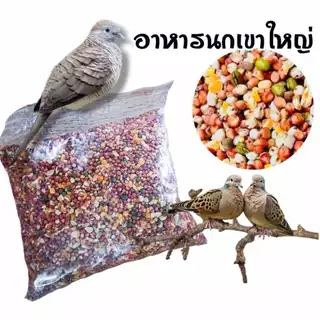 อาหารนกเขาใหญ่ อาหารนก แบ่งขาย 1 กิโลกรัม