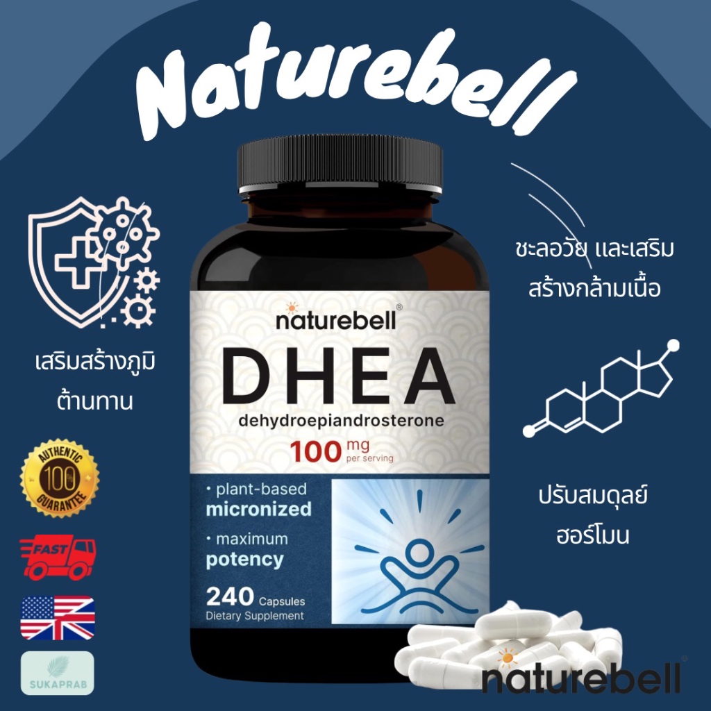 พร้อมส่ง NatureBell DHEA 100mg 240 Capsules