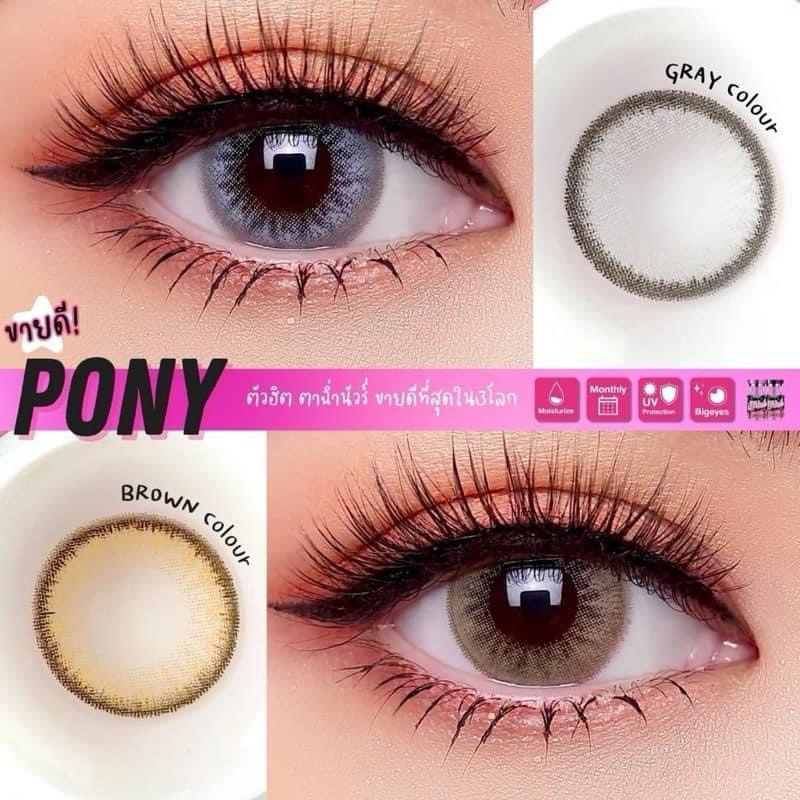 🦄PONY  GRAY/BROWN (กลาง)