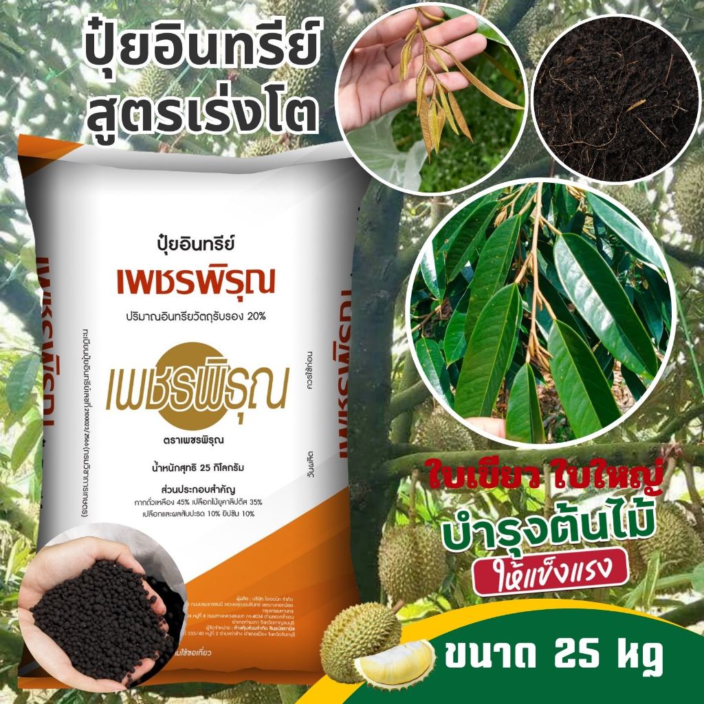 ปุ๋ย ปุ๋ยอินทรีย์ ฟื้นต้น ต้นโทรม ใบเหลือง ช่วยใบเขียว เร่งโต มีอินทรีย์วัตถุสูง(ขนาด 25 kg)