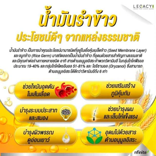 [ของแท้] น้ำมันรำข้าวเพื่อสุขภาพ Oriceza Rice Bran Oil เสริมสร้างภูมิคุ้มกันและสมอง ลดคอเลสเตอรอล [1 กระปุก มี 60 เม็ด]