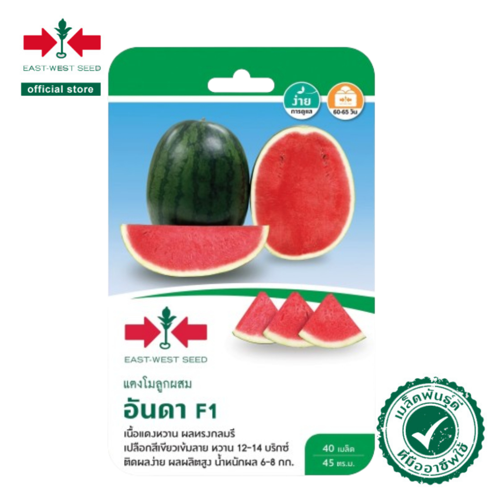 ศรแดง เมล็ดพันธุ์แตงโมF1อันดา(เมล็ดเคลือบ) (East-West Seed) เมล็ดพันธุ์ ผักสวนครัว ตราศรแดง