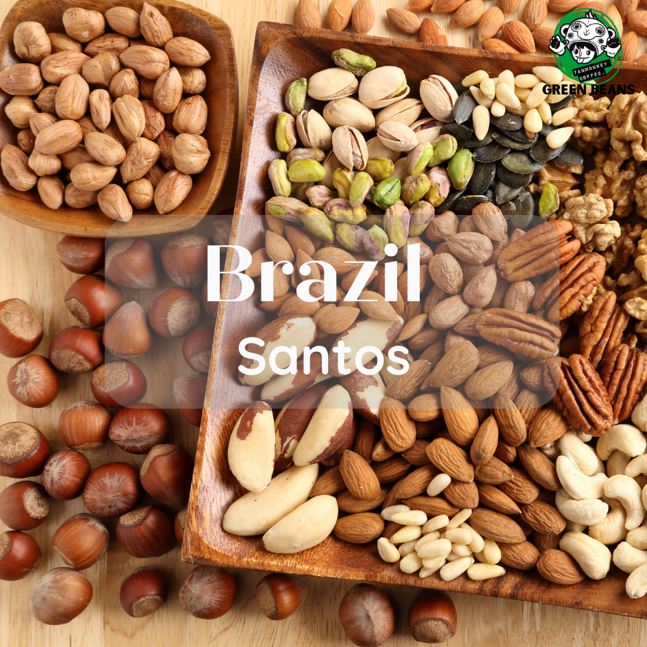 สารกาแฟนำเข้า  Brazil Santos 2025