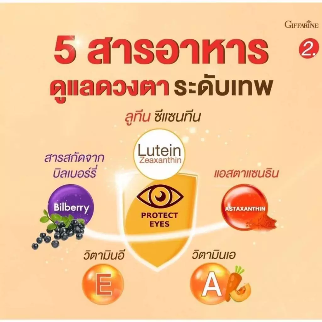 ( ส่งฟรี ) แอลซีวิต กิฟฟารีน วิตามินเอ ลูทีน ซีแซนทีน Lz vit plus A GIFFARINE Vitamin A บำรุงสายตา thumbnail 7