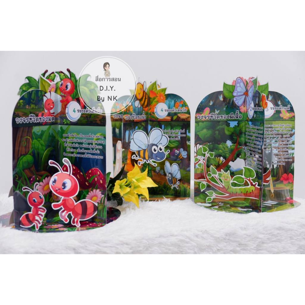 **สื่อครบเซ็ท 7 ชิ้น** เหลี่ยม รายวิชาวิทยาศาสตร์ เรื่อง วงจรชีวิตของสัตว์  animal life cycle