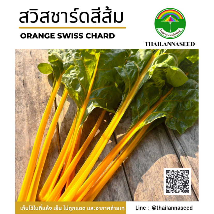 เมล็ดพันธุ์ผักสวนครัว สวิสชาร์ดสีส้ม ( ขนาด 0.5 กรัม ) รหัสสินค้า 6007