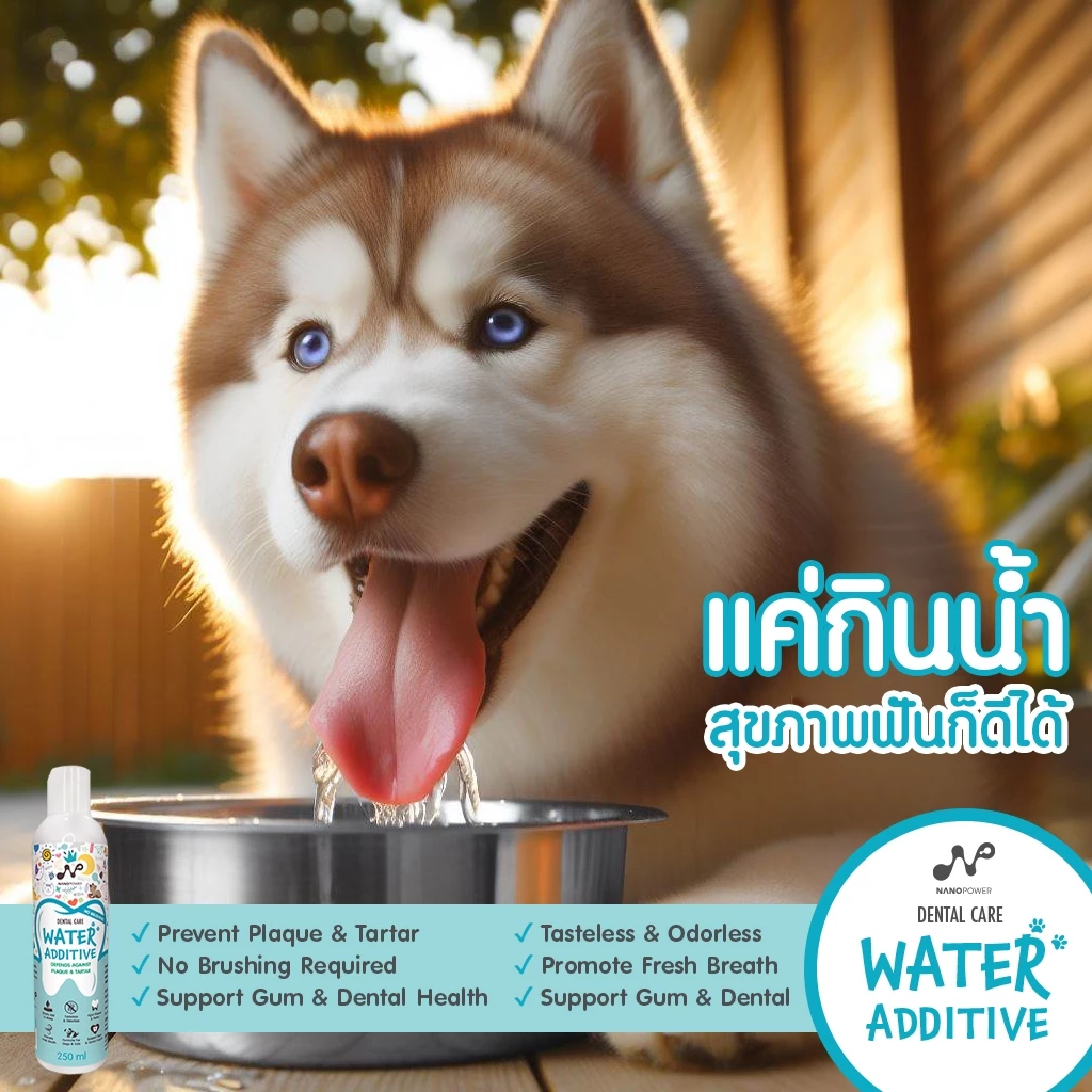 NANOPOWER Dental Care Water Additive 250ml สุนัข-แมว thumbnail 6