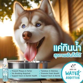 NANOPOWER Dental Care Water Additive 250 ML - นาโนพาวเวอร์ ผลิตภัณฑ์ผสมน้ำดื่ม ลดกลิ่นปาก ลดหินปูน สำหรับสัตว์เลี้ยง