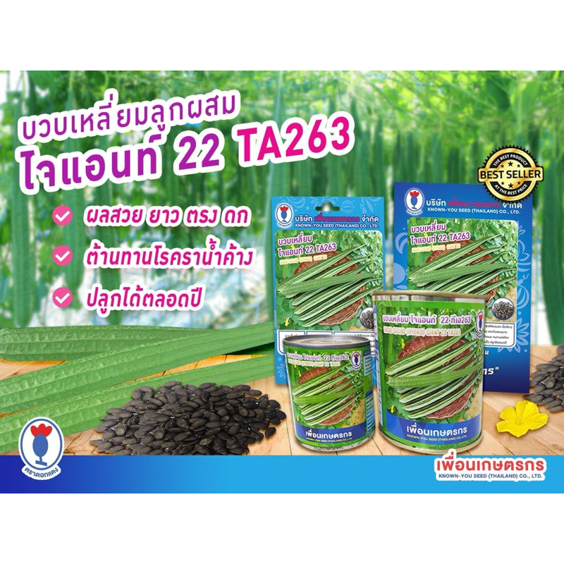เมล็ดพันธุ์บวบเหลี่ยม ลูกผสม ไจแอนท์ 22 ผลสวย ยาว ดก ทนโรคราน้ำค้าง ปลูกได้ตลอดปี
