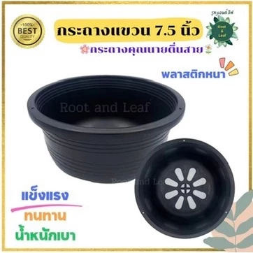 กระถางแขวน กระถางต้นไม้สำหรับแขวน ขนาด 7.5 นิ้ว ความกว้างปากกระถาง(เบอร์8) กระถางชามเตี้ย สีดำ ทรงเตี้ย