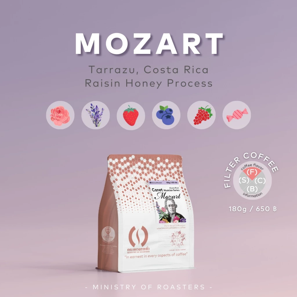 เมล็ดกาแฟดริป Costa Rica Canet Mozart | กระทรวงการคั่ว | Costa Rica Rose Strawberry Grape