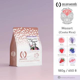 เมล็ดกาแฟดริป Costa Rica Canet Mozart | กระทรวงการคั่ว | Costa Rica Rose Strawberry Grape