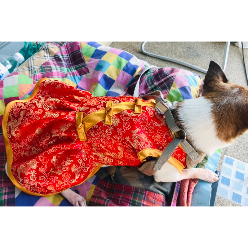 รูปภาพ 6