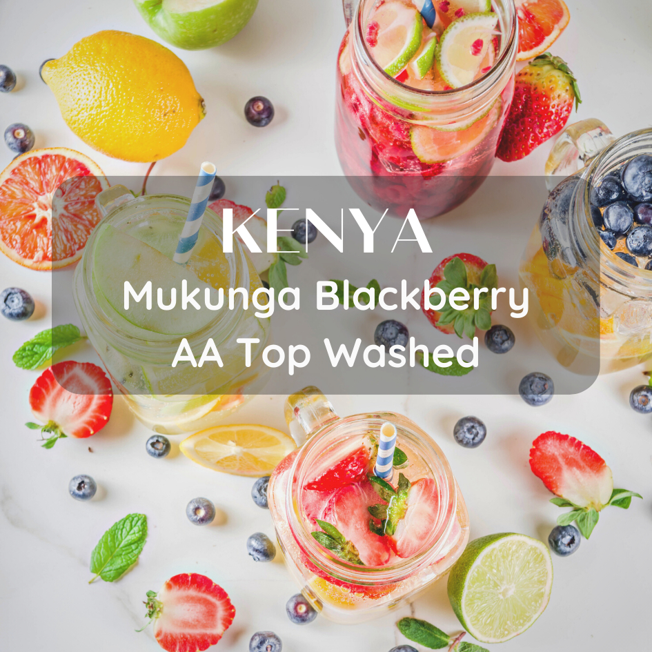 สารเมล็ดกาแฟ Kenya Mukunga Blackberry AA top Washed 1000g 2024