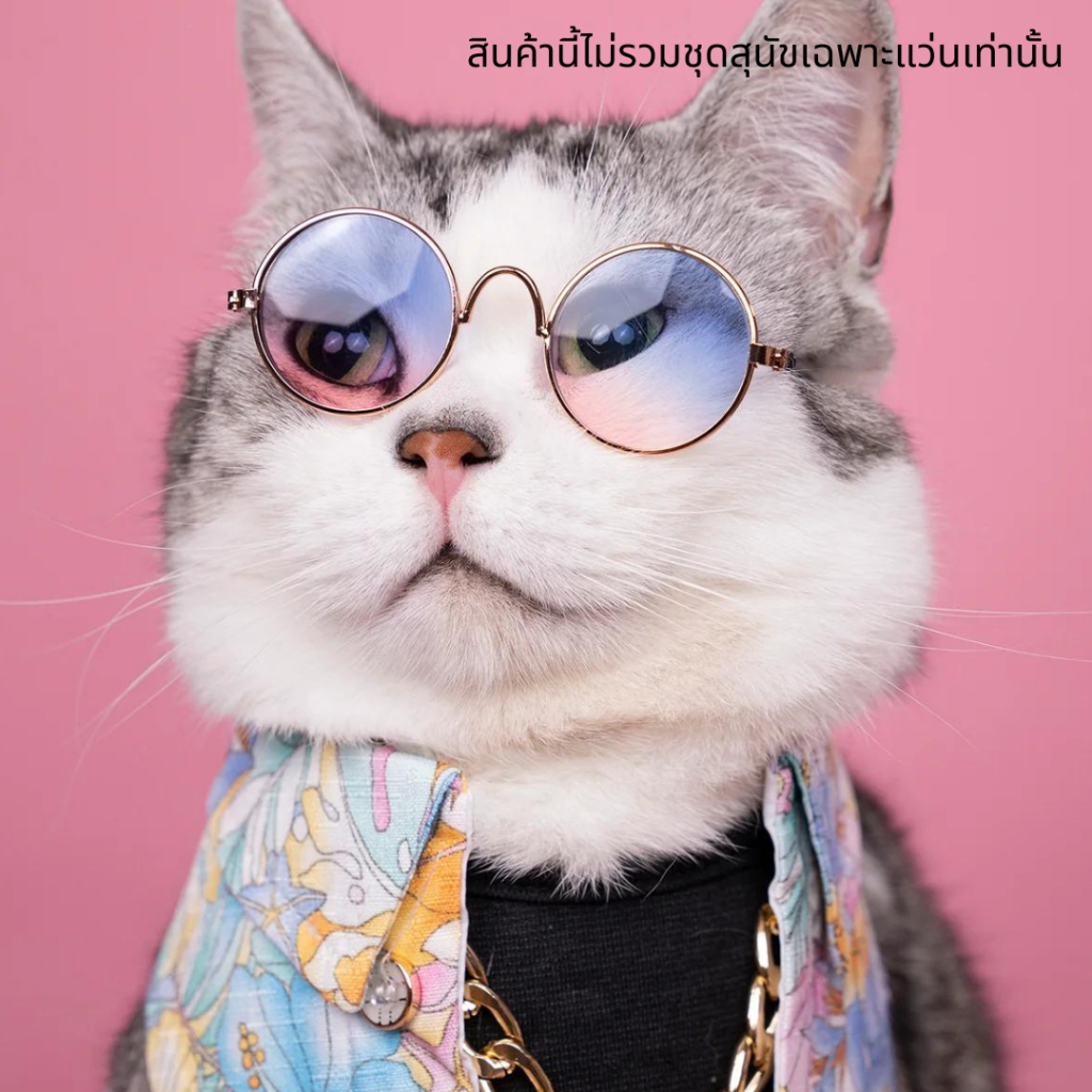 Momoji Pet Glasses แว่นสุนัข แว่นแมว