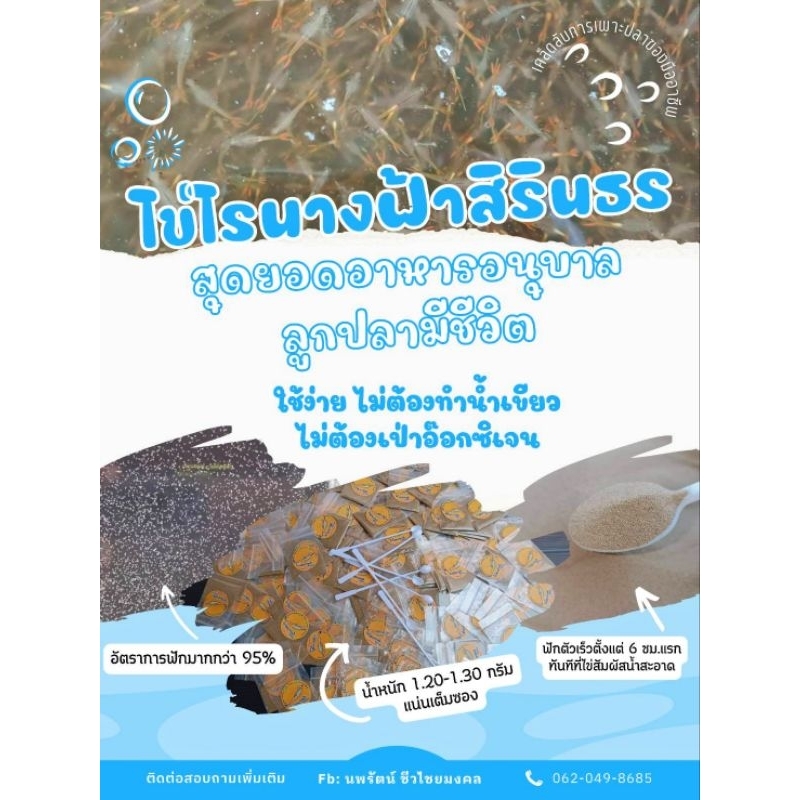 ไข่ไรนางฟ้าสิรินธรอาหารอนุบาลลูกปลาแรกเกิด