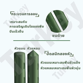ไม้ค้ำต้นไม้ เสาค้ำต้นไม้ หลักไม้เลื้อย เสาไม้เลื้อย ไม้ค้ำยันต้นไม้ ยาว60.90.120.150.180ซม.หนา8.11.16.20มม. ท่อเหล็กPE