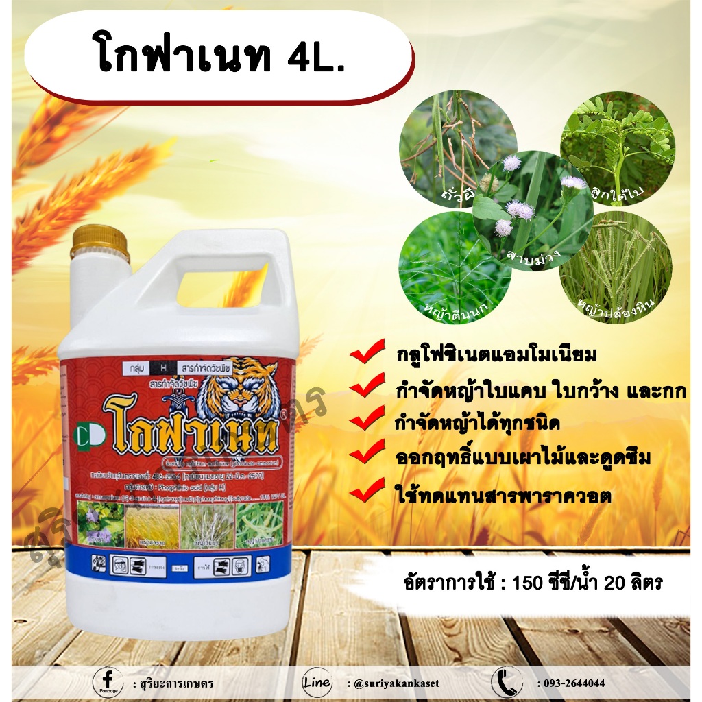 โกฟาเนท 4L. กลูโฟซิเนตแอมโมเนียม สารกำจัดวัชพืช กำจัดหญ้าใบแคบ ใบกว้าง กก หญ้าทุกชนิด