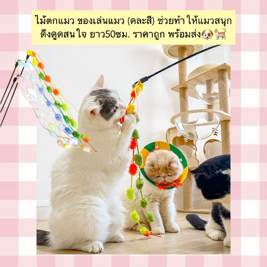 BN-531 ไม้ตกแมว ของเล่นแมว (คละสี) ช่วยทำให้แมวสนุก ดึงดูดสนใจ ยาว50ซม. ราคาถูก พร้อมส่ง