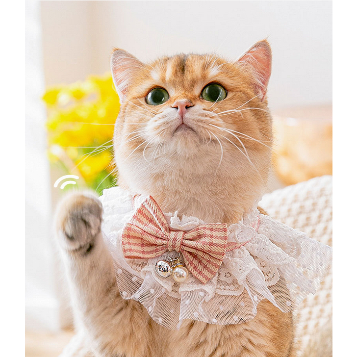 [ ABC cat ] ปลอกคอสัตว์เลี้ยง สำหรับหมาแมว แบบระบายลูกไม้ ปรับสายระดับได้ ปลอกคอ 073