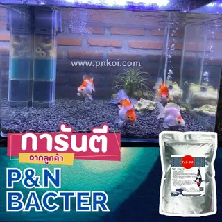 น้ำใส ไร้กลิ่น ด้วย P&N BACTER