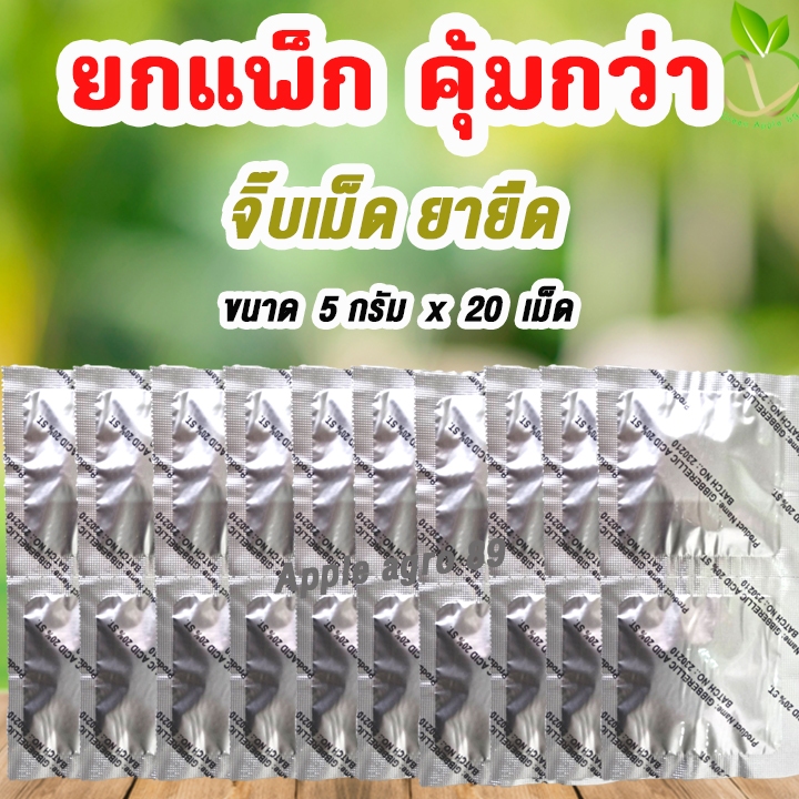 🔥ยกแพ็ก คุ้มกว่า จิ๊บเม็ดยายืด ขนาด 10 กรัม x 20 เม็ด (Gibberrelic acid 10%) จิ๊บเบอเรลลิน จิ๊บเม็ด จิ๊บยายืดยอด