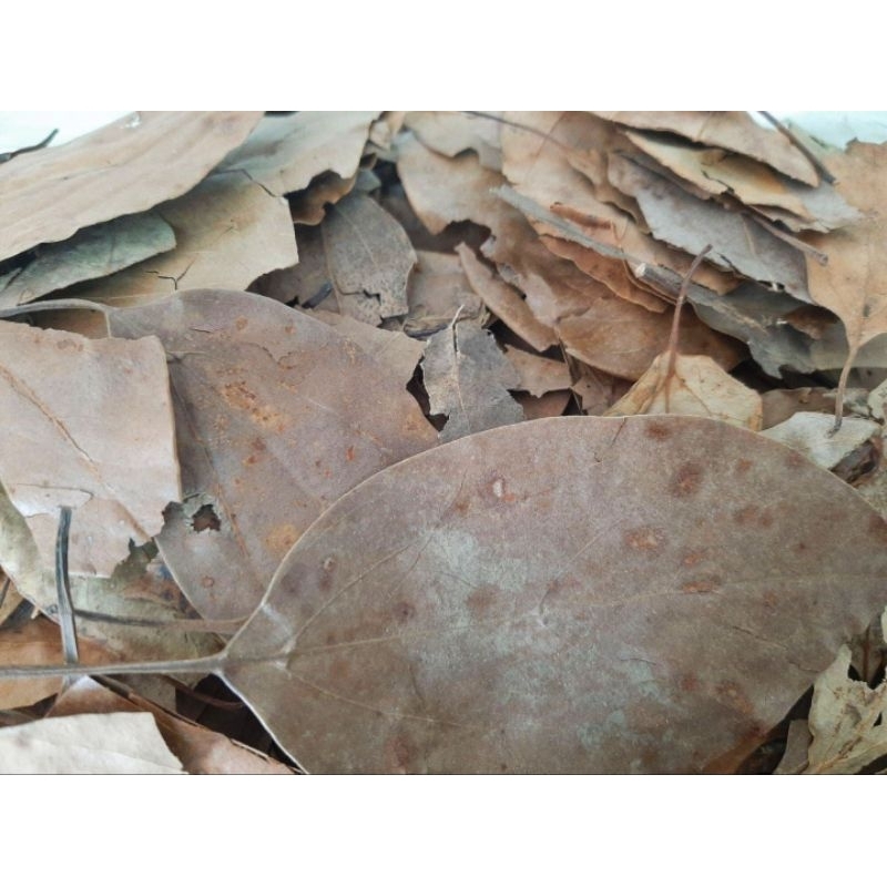 ใบกระวาน ใบเปย์ ( Bay leaf )  ขนาด 50 กรัม