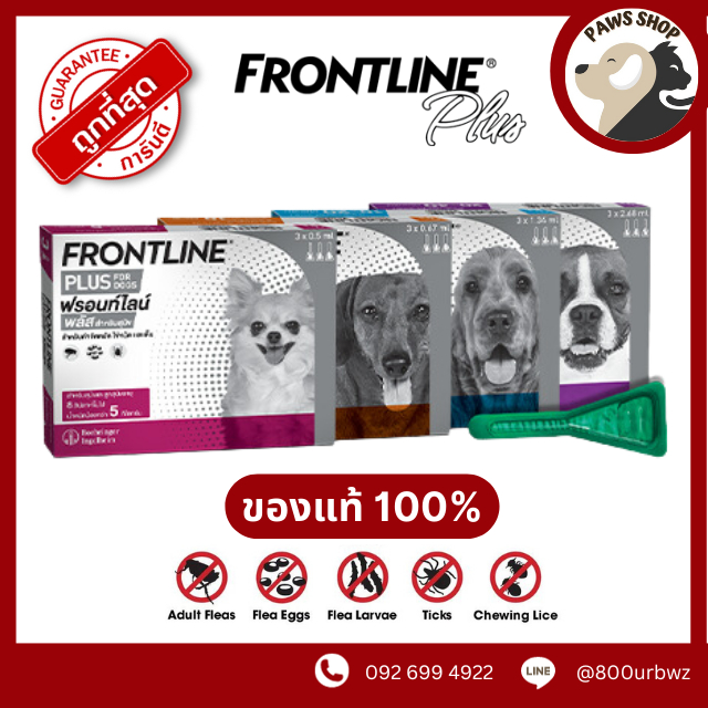 FRONTLINE PLUS แบ่งขาย 1 หลอด ยาหยอดกำจัดเห็บ หมัด สุนัขและแมว แบ่งขาย 1 หลอด / 1 กล่อง (วอส.1266/25