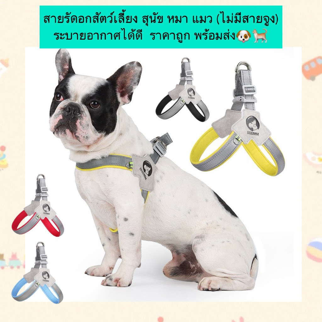 AL-837 สายรัดอกสัตว์เลี้ยง สุนัข หมา แมว (ไม่มีสายจูง) ระบายอากาศได้ดี ราคาถูก พร้อมส่ง