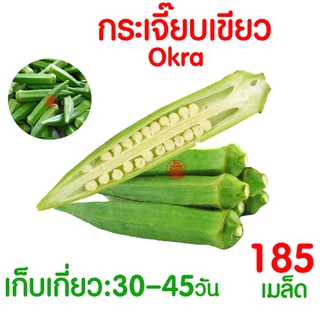 *โค้ดส่งฟรี* เมล็ดผักสวนครัว เมล็ดพันธุ์ เมล็ดพันธุ์ผัก งอกดี ปลูกผัก ปลูกไว้ทานเอง เมล็ดผักรวม ผักชี Clearance