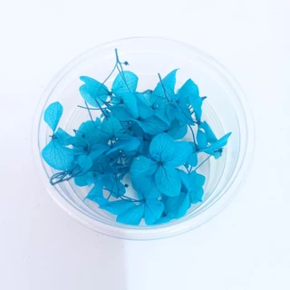 กลีบไฮเดรนเยียอบแห้ง ดอกไม้แห้งพร้อมส่ง มีหลายสีให้เลือก