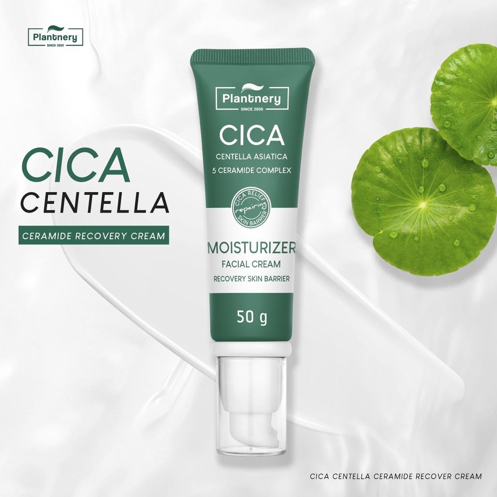 แท้  Plantnery Cica Centella Ceramide Recover Cream 50 g มอยส์เจอร์ครีม สำหรับผู้มีปัญหา สิวผด ผิวระคายเคือง ราคา ถูกที่สุด ดีลบีเคเค แกลเลอรีภาพที่ 7