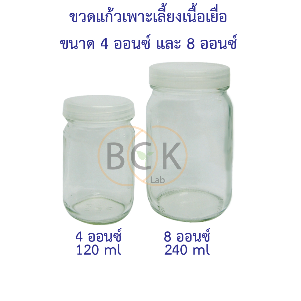ขวดแก้วเพาะเลี้ยงเนื้อเยื่อ (Tissue Culture Bottle) พร้อมฝาใส ขนาด 2 ออนซ์ (3 ใบ/ชุด)
