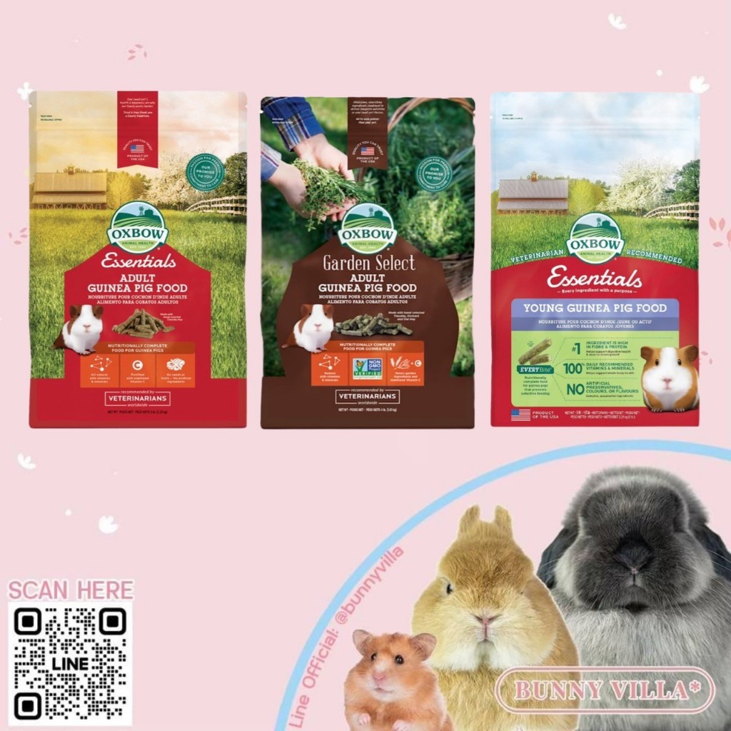Oxbow อาหารเม็ดสำหรับแกสบี้ Guinea pig food