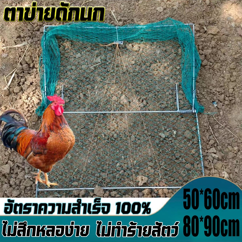 ที่ดักนก เครื่องจับไก่ขนาดใหญ่ที่ไม่ทำให้ไก่บาดเจ็บ เส้นตารางที่ดี,เหล็กที่ดี,ง่ายต่อการติดตั้งและใช้งานได้มากถึงหลายปี