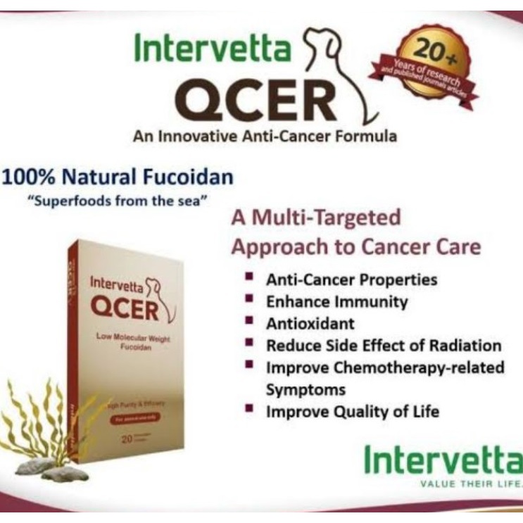 QCER อาหารเสริมสุนัข-แมว มะเร็ง เนื้องอก ก้อนเนื้อ 20 เม็ด EXP.04/2027 - รูปที่ 2