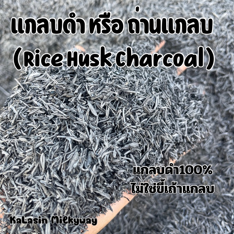 แกลบดำ หรือ ถ่านแกลบ ( Rice Husk Charcoal ) ช่วยเพิ่มความร่วนซุย เพิ่มแร่ธาตุ ดินอุ้มน้ำได้ดี ผสมกับดินสำหรับการปลูกพืช