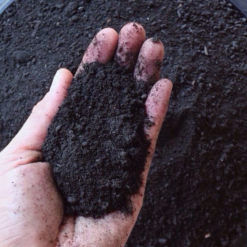 Premium Humus Compost 20kg.