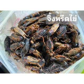 จิ้งหรีดไข่ แช่แข็ง (1kg.) 🦗🦗❌ไม่ใส่เกลือ⚡️ส่งด่วน แมลงแช่แข็ง 🚚💨ค่าส่งแบบเหมา ส่งขนส่งแช่เย็น💦ฟรี ลังโฟมทุกจังหวัด