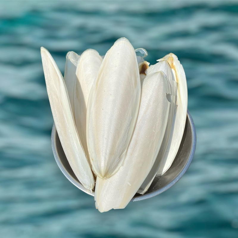 กระดองหมึก organic cuttlebone ลิ้นทะเล เสริมแคลเซียม