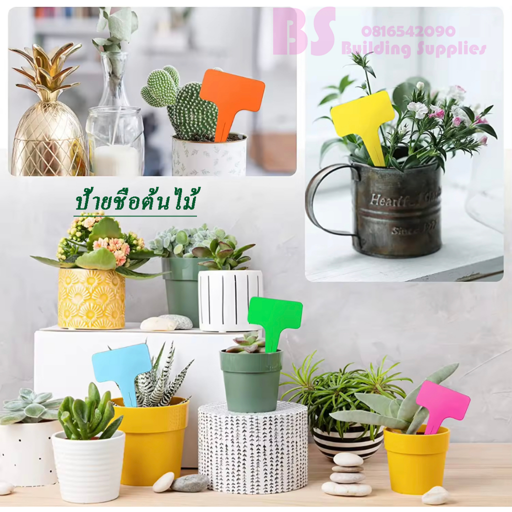 (พร้อมส่ง) ป้ายชื่อต้นไม้แพ็คละ 6*10cm 20/50/100 ชิ้น ป้ายชื่อพลาสติก PVC