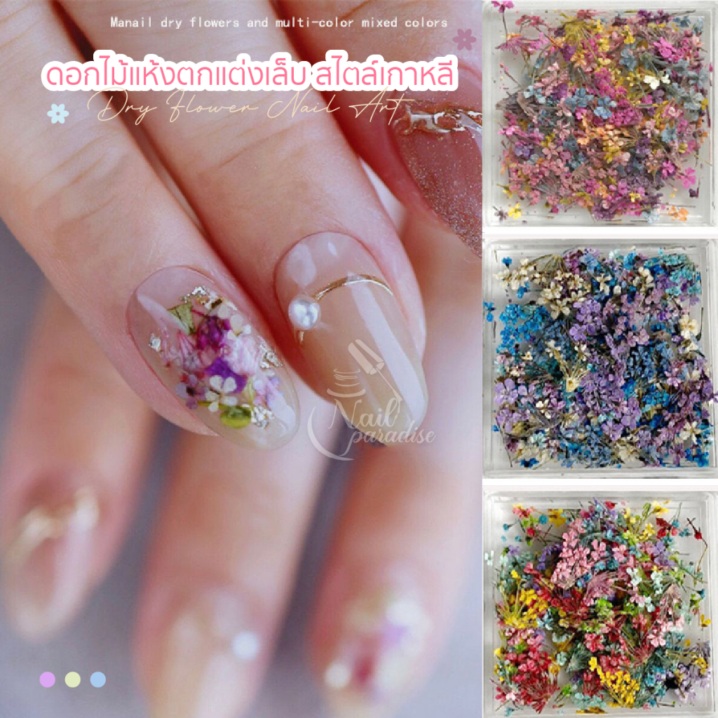 ดอกไม้แห้ง สไตล์เกาหลี Korean Style Dried Flowers Nail DIY สำหรับตกแต่งเล็บ มีให้เลือกหลายแบบ พร้อมส