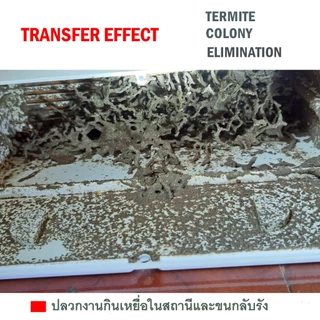 Termite Bio Bait ชุดเหยื่อเชื้อรากำจัดปลวกตายยกรัง เหยื่อชีวภัณฑ์กำจัดปลวก