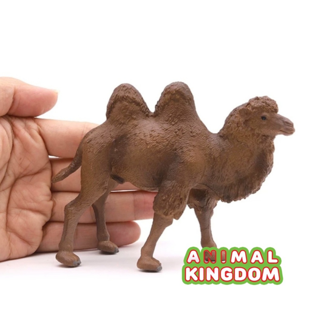 Animal Kingdom โมเดลสัตว์ Cow วัว กระทิง ยืน ดำ ขนาด 16.00 CM (จากหาดใหญ่)