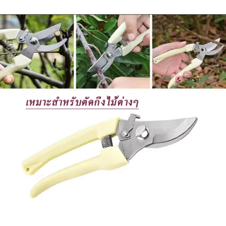 กรรไกรตัดกิ่งไม้ปากโค้งและปากตรง กรรไกรทำสวน กรรไกรแต่งกิ่ง แบบสเตนเลส ด้ามPEอย่างดี