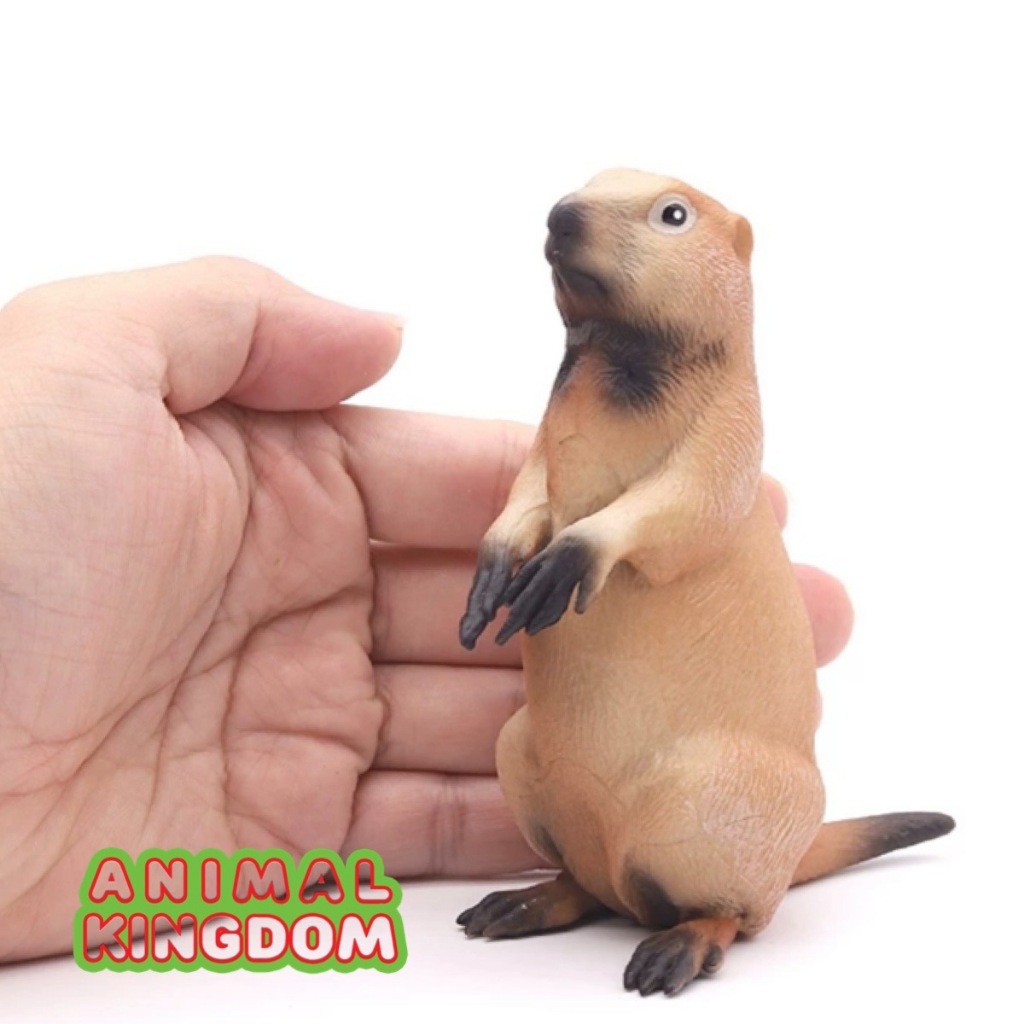 Animal Kingdom โมเดลสัตว์ Shark ฉลาม ปลาฉลาม อาบแดด ขนาด 21.30 CM (จากหาดใหญ่)