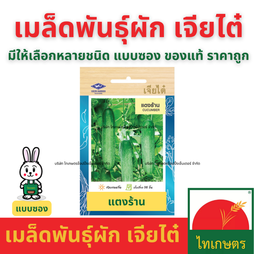 เมล็ดผัก เจียไต๋ เมล็ดพันธุ์ ผักซอง ผักบุ้ง ผักกาดขาว คะน้า กะเพรา คื่นช่าย ผักชี แตงกวา พริก ถั่ว ราคา ถูกที่สุด ดีลบีเคเค แกลเลอรีภาพที่ 5