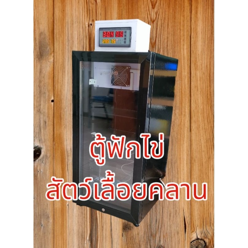 ตู้ฟักไข่สัตว์เลื้อยคลาน เต่าบก กิ้งก่า ตุ๊กแก งู ฯลฯ ราคาถูก Shopee Lazada