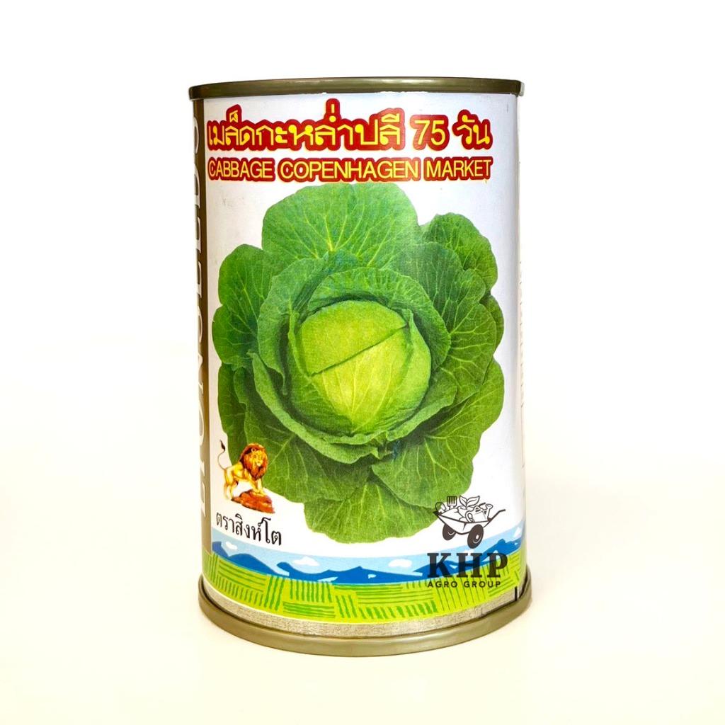 เมล็ดพันธุ์ กะหล่ำปลี 75 วัน ตรา สิงโต กระป๋อง 1/4 บรรจุ 30 กรัม (อายุเก็บเกี่ยว 65-75 วัน)
